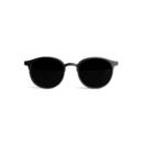 The Don's House USREXI Sunglasses
